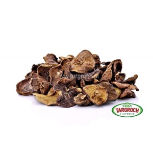 Grzyby Suszone - PODGRZYBEK Brunatny krojony 20g
